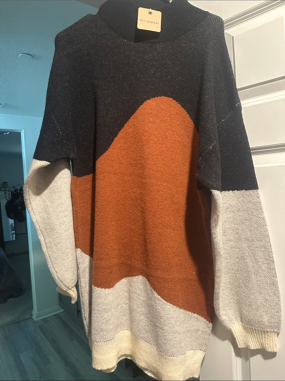 Blu Pepper Black, Rust & Cream Colorblock Turtleneck Sweater Dress